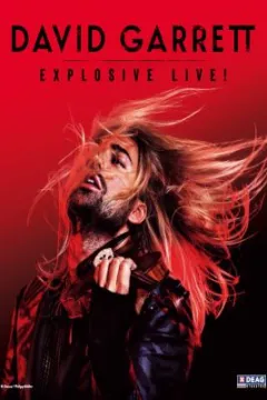 Bild zum Event 'DAVID GARRETT'