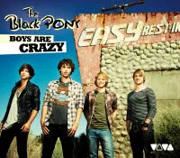 Bild zum Event 'BLACK PONY'